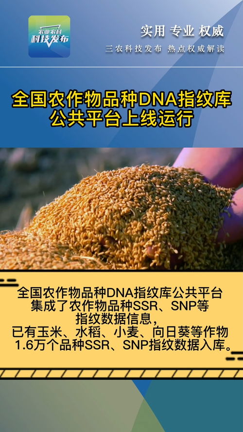 推动实现种业科技自立自强,全国农作物品种dna指纹库公共平台上线运行 农作物 种子 三农